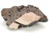 Small, Red Vanadinite Crystals on Manganese Oxide - Morocco #212006-1
